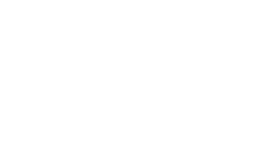 Salvation Ministries